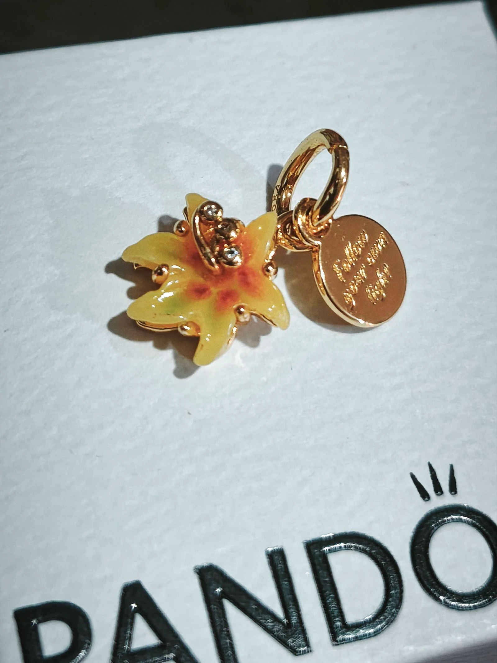 Charm Rapunzel – photo 8